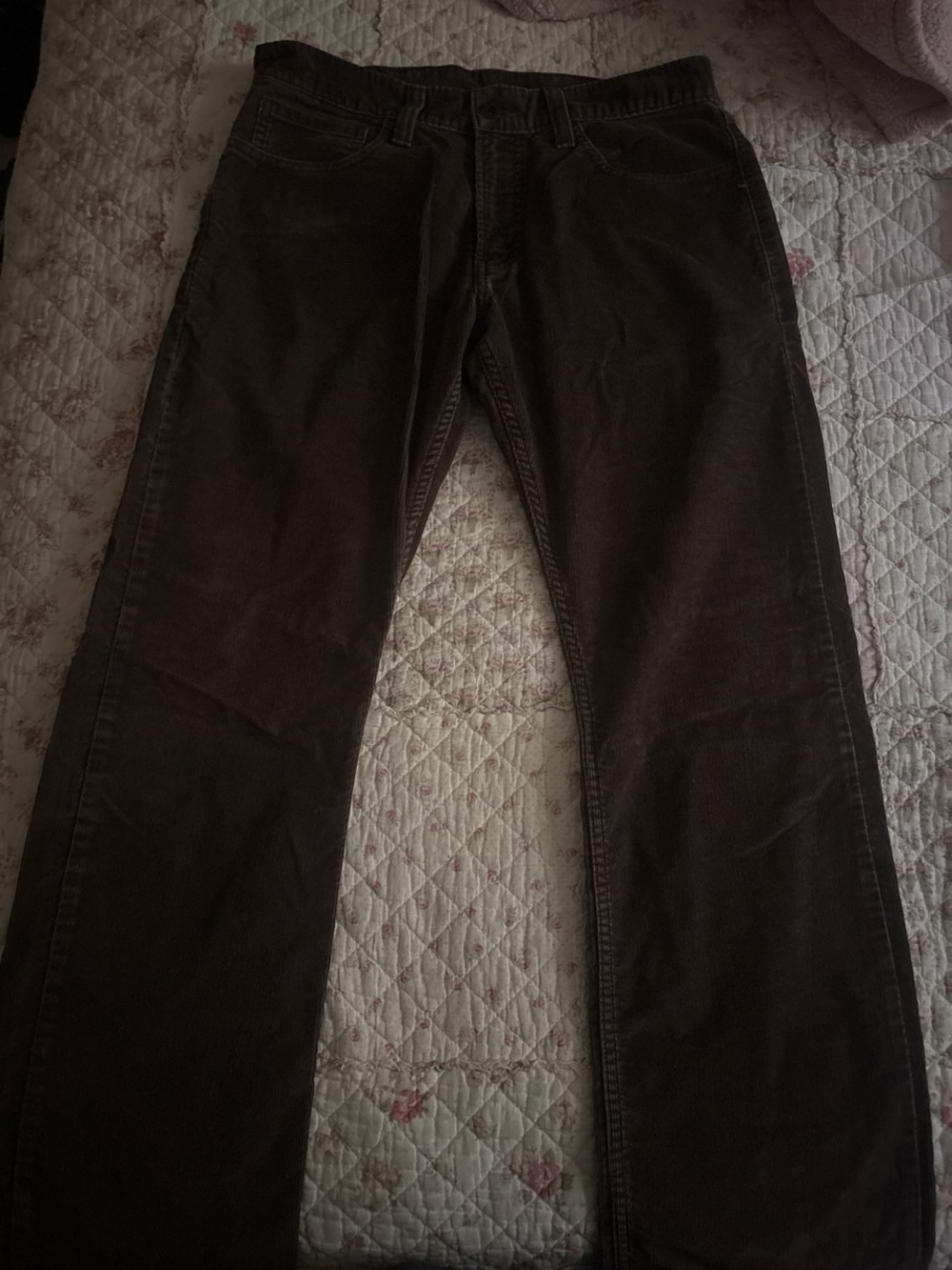 Levi's Corduroy Pants in Dark Brown